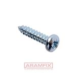 ISO 14585 C Tapping Screw for Metal 3.9x38mm Carbon Steel Zinc Plated TORX T15 Full Rounded