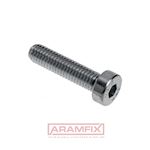 DIN 6912 Socket Head Screw Low-Profile M5x12mm Class A2-80 PLAIN Stainless Hex with Pilot Recess METRIC Partially Rounded
