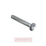 DIN 7513B Thread-Forming Screws for Metal 4x12mm Steel Zinc Plated Slotted METRIC Full Hex
