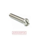 DIN 84 Cheese Head Screw M10x80mm Class A4 PLAIN Stainless Slotted METRIC Full Rounded