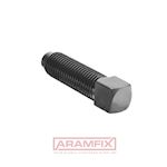 DIN 479 Square head bolt with dog point M5x40mm Grade 8.8 PLAIN METRIC Full Square