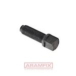 DIN 480 Square head bolt with collar + dog point M8x18mm Grade 10.9 PLAIN METRIC Full Square