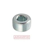 DIN 906 Hexagon socket pipe plug M10-1.00 Grade 5.8 Zinc Plated Hex METRIC