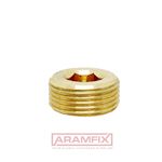 DIN 906 Hexagon socket pipe plug 3/8 Brass PLAIN Brass Hex BSPT (R/RP)