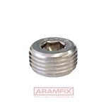 DIN 906 Hexagon socket pipe plug 3/8 Class A2 PLAIN Stainless Hex INCH