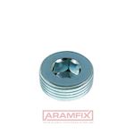 DIN 906 Hexagon socket pipe plug 1/4 Steel Zinc-Flake Hex BSPT (R/RP)