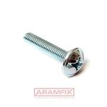 DIN 967 Pan head screw with collar M3x6mm Grade 4.8 Zinc Plated Phillips METRIC Full Rounded