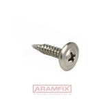 DIN 968C Tapping Screw for metal with serration 4.8x38mm Carbon Steel Zinc Plated Cross Full Rounded