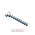 DIN 186B T-Bolts with square Neck M6x55mm Grade 8.8 Anodized Grey METRIC Full Square