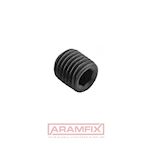 ISO 4027 Set screw High-Hold Cone-Point M2.5x6mm 45 HV Steel PLAIN Hex METRIC Full