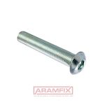 ISO 7380-1 Socket Button Head Screw with Flange M12x35mm Grade 8.8 Zinc Plated Hex METRIC Full Button Head
