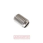 ISO 4766 Set screw Cup-Point M6x6mm Class A1 PLAIN Stainless Slotted METRIC Full Flat