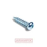 ISO 7049C Tapping Screw for Metal 3.5x22mm Steel Zinc Plated Phillips Full Rounded