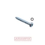 Chipboard serrated flat pan Pan Head Screws with Serrated Thread 4.0x20mm Carbon Steel Zinc Plated TORX T20 Full Rounded