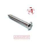 Button Head Self Tapper Pin Hex Security Screw Pin Hex 14x2 Class A2 PLAIN Stainless HM4 Drive Full Button Head